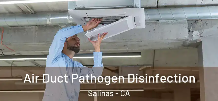 Air Duct Pathogen Disinfection Salinas - CA