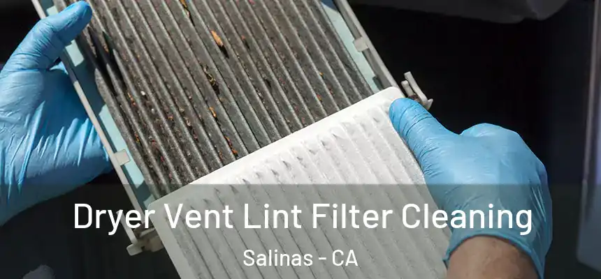  Dryer Vent Lint Filter Cleaning Salinas - CA
