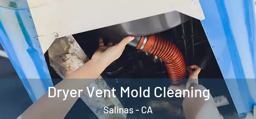  Dryer Vent Mold Cleaning Salinas - CA