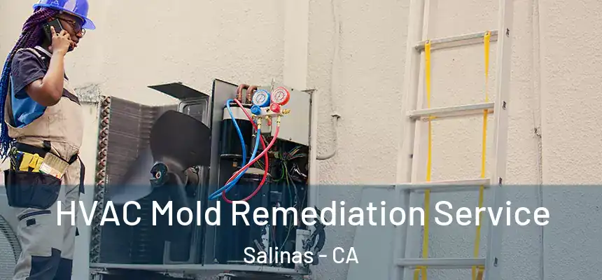 HVAC Mold Remediation Service Salinas - CA
