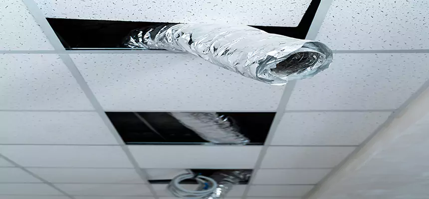 Our Air Duct Pet Hair Removal Services in Salinas, CA