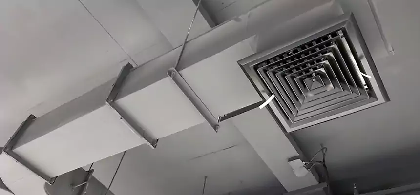 Restorative Allergy Relief Vent Cleaning – Coil, Blower & Housing Detail in Salinas