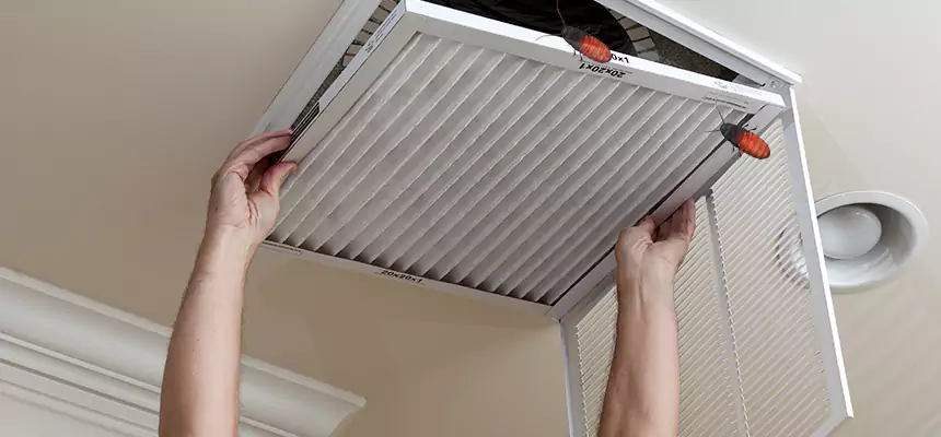 Our Insect Removal from Air Ducts Services in Salinas, CA