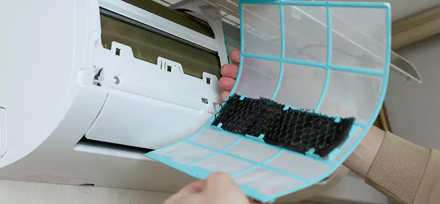 Gentle Ductwork Odor-Control Pet Dander Duct Cleaning in Salinas, CA