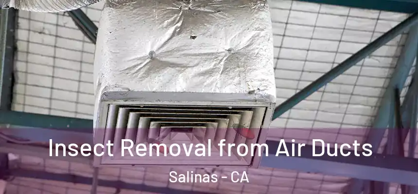  Insect Removal from Air Ducts Salinas - CA