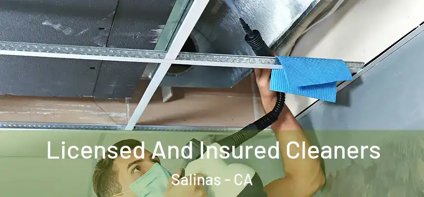  Licensed And Insured Cleaners Salinas - CA