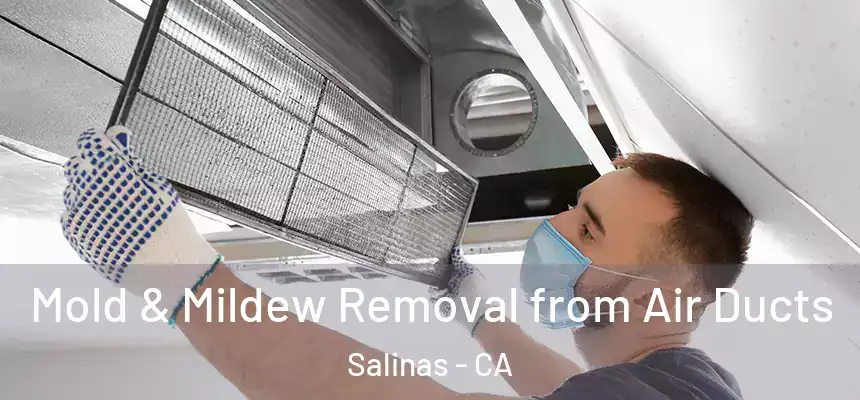  Mold & Mildew Removal from Air Ducts Salinas - CA