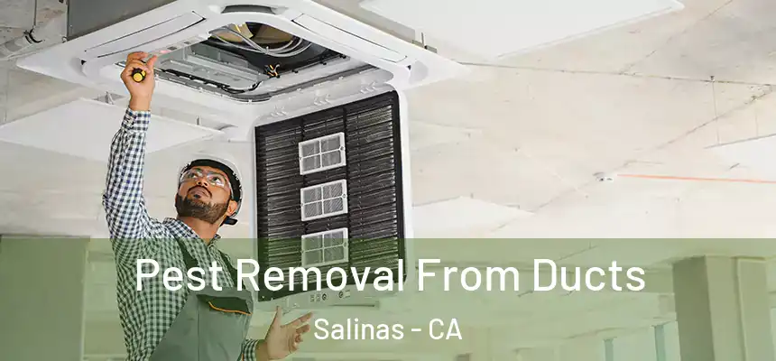  Pest Removal From Ducts Salinas - CA