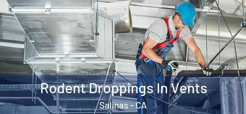  Rodent Droppings In Vents Salinas - CA