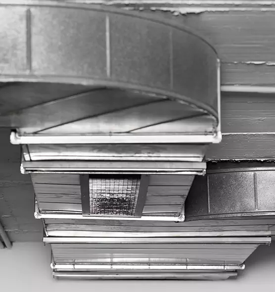 Professional Air Duct Pest Removal in Salinas, CA