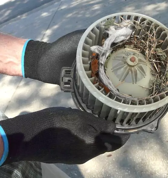 About Air Duct Rat Removal in Salinas, CA