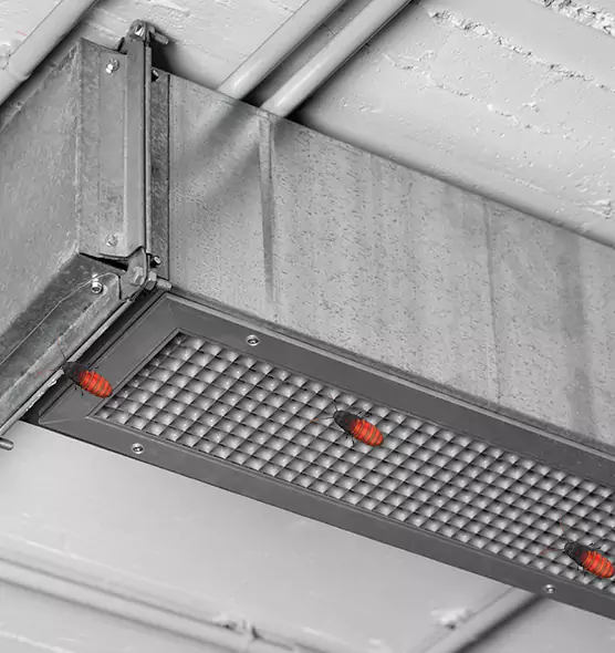 Affordable Insect Removal from Air Ducts in Salinas, CA
