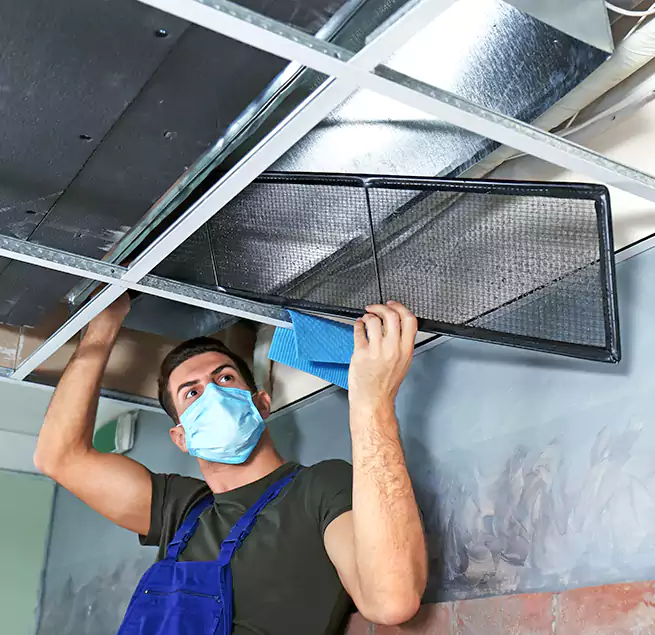 Why Homeowners Businesses Trust Us in Salinas, CA