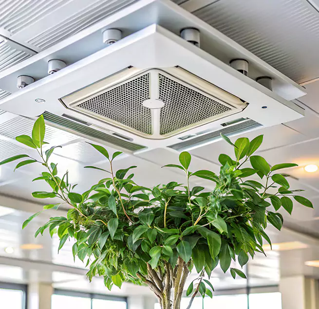 Why Homeowners & Businesses Trust Us in Salinas, CA