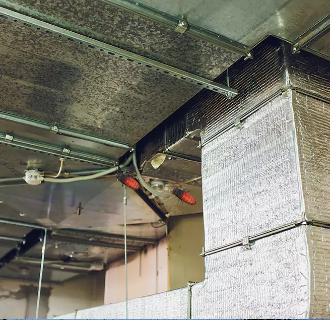 Why Homeowners & Businesses Trust Us Salinas, CA?